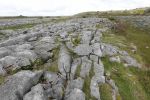 PICTURES/The Burren - Poulnabrone Portal Tomb/t_DSC04976.JPG
